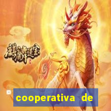 cooperativa de energia solar minas gerais