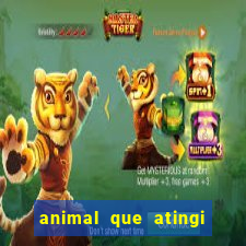 animal que atingi 230 decibeis