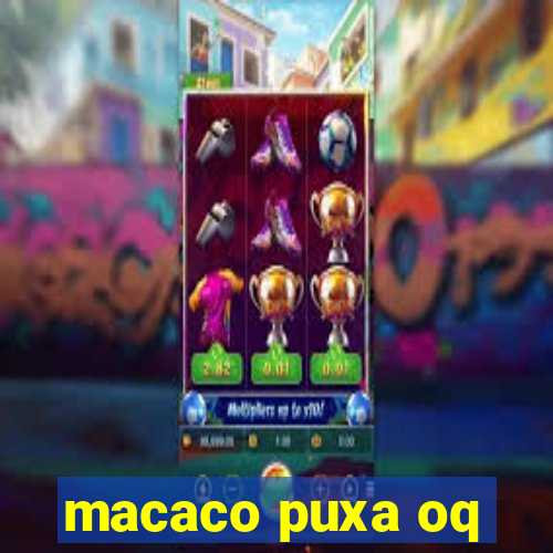 macaco puxa oq