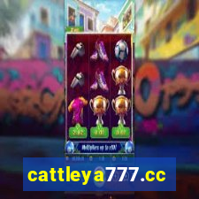 cattleya777.cc