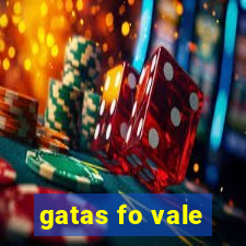 gatas fo vale