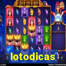 lotodicas