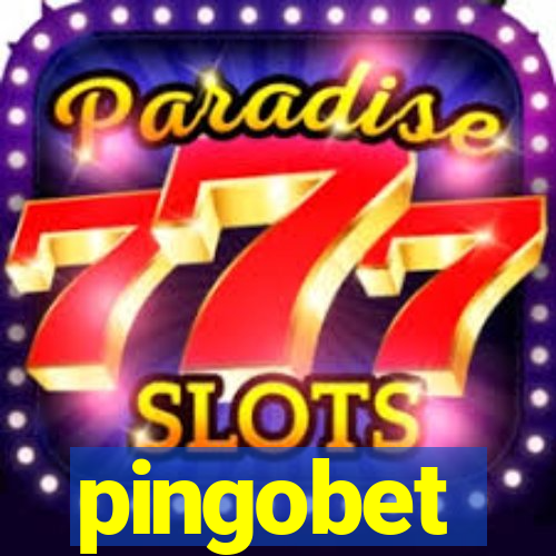 pingobet