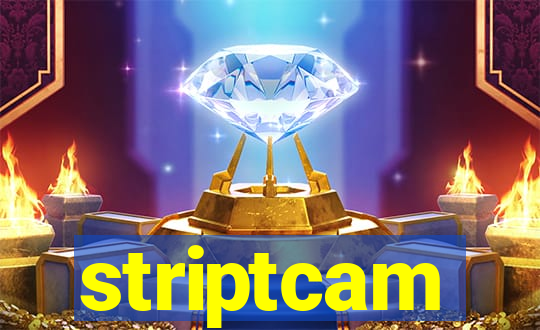 striptcam