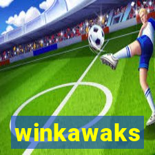 winkawaks