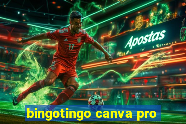 bingotingo canva pro