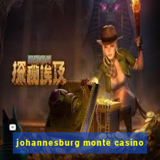johannesburg monte casino