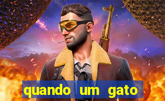 quando um gato aparece do nada significado espiritual