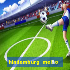 hindemburg melão jr fortuna