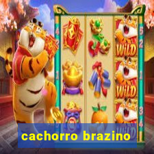 cachorro brazino