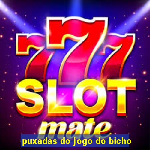puxadas do jogo do bicho