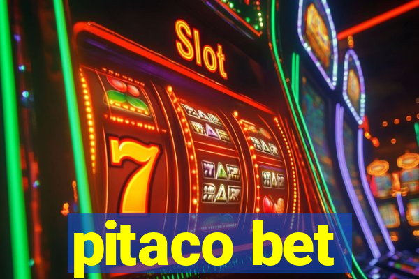 pitaco bet
