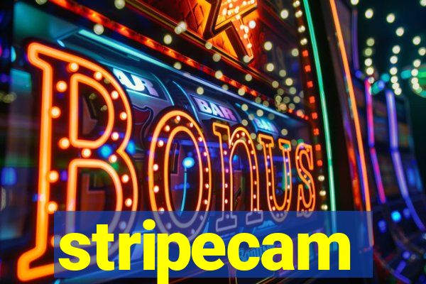 stripecam