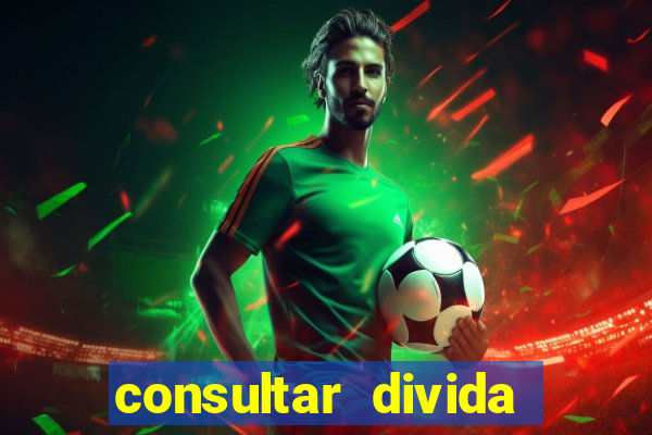 consultar divida casas bahia