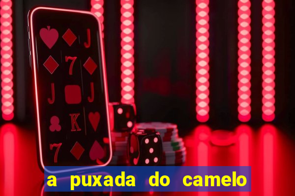 a puxada do camelo no jogo do bicho