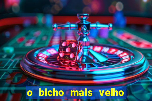 o bicho mais velho da loteria dos sonhos