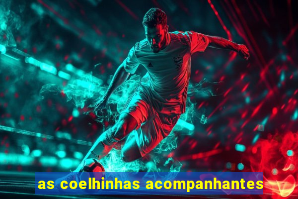 as coelhinhas acompanhantes