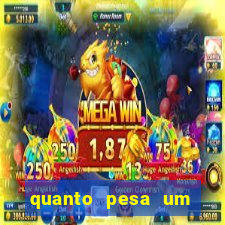 quanto pesa um fuzil 762
