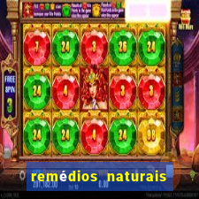 remédios naturais para diabetes