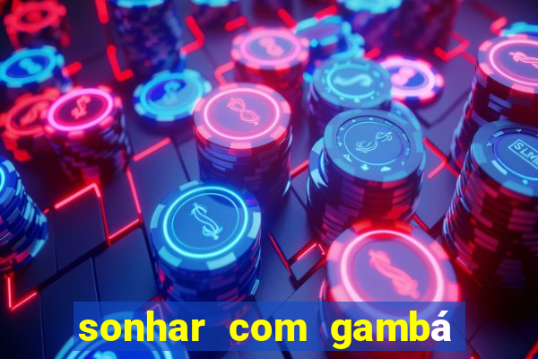 sonhar com gambá jogo do bicho