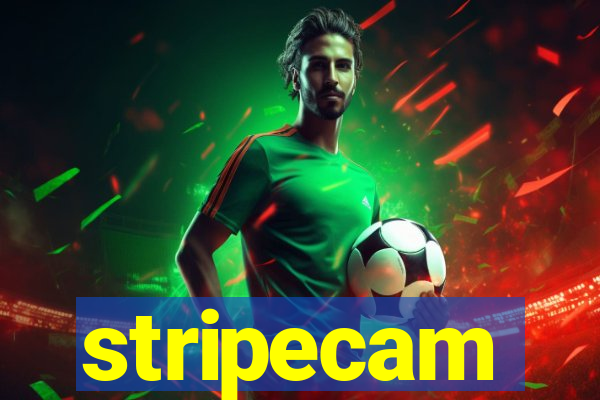 stripecam