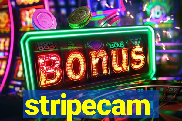 stripecam